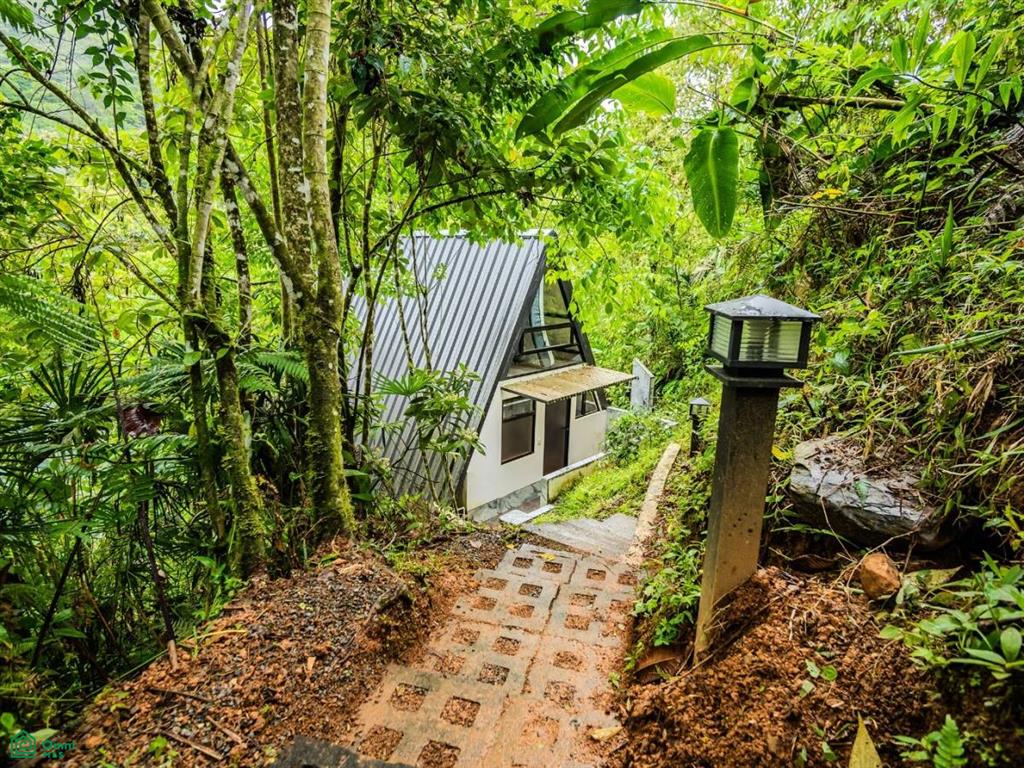 2.6-Acre Property for Sale in Serenity Gardens, Costa Rica – Private River Access, Spring Water & Food Forest