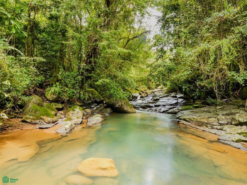 2.6-Acre Property for Sale in Serenity Gardens, Costa Rica – Private River Access, Spring Water & Food Forest