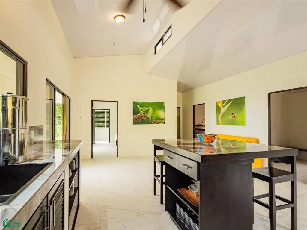 2.6-Acre Property for Sale in Serenity Gardens, Costa Rica – Private River Access, Spring Water & Food Forest