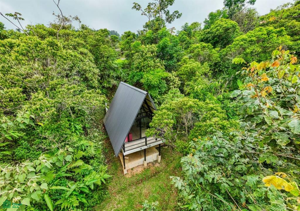 2.6-Acre Property for Sale in Serenity Gardens, Costa Rica – Private River Access, Spring Water & Food Forest
