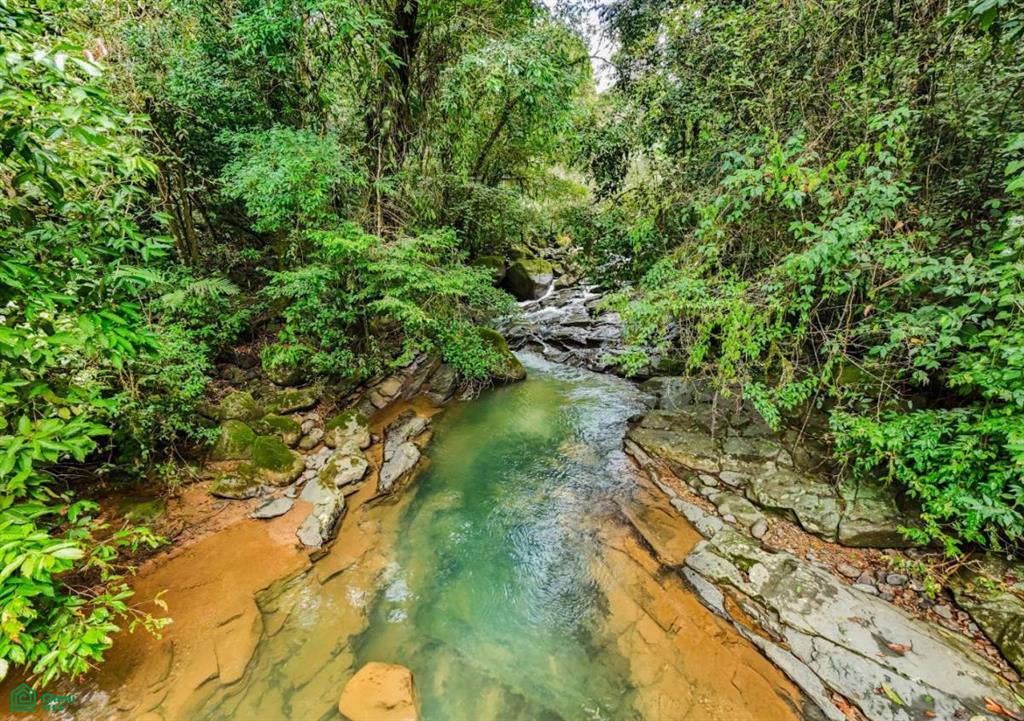 2.6-Acre Property for Sale in Serenity Gardens, Costa Rica – Private River Access, Spring Water & Food Forest