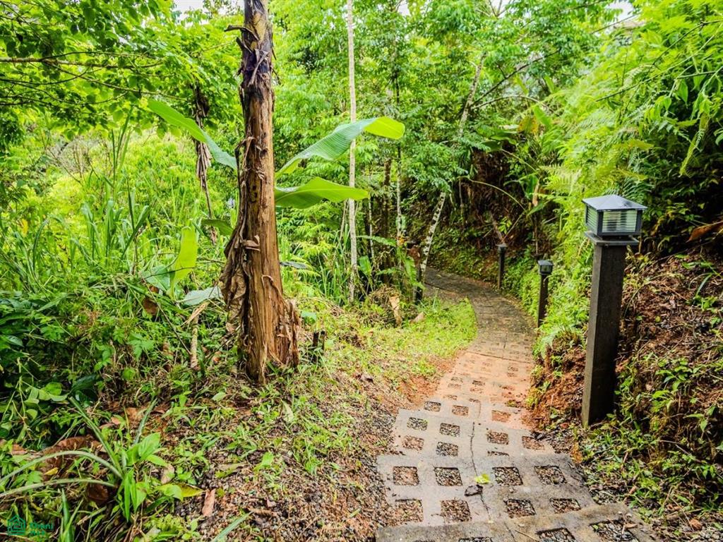 2.6-Acre Property for Sale in Serenity Gardens, Costa Rica – Private River Access, Spring Water & Food Forest