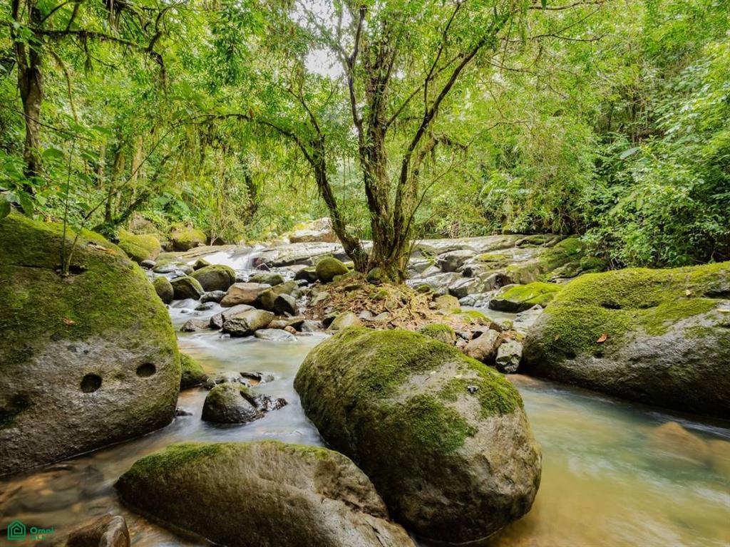 2.6-Acre Property for Sale in Serenity Gardens, Costa Rica – Private River Access, Spring Water & Food Forest