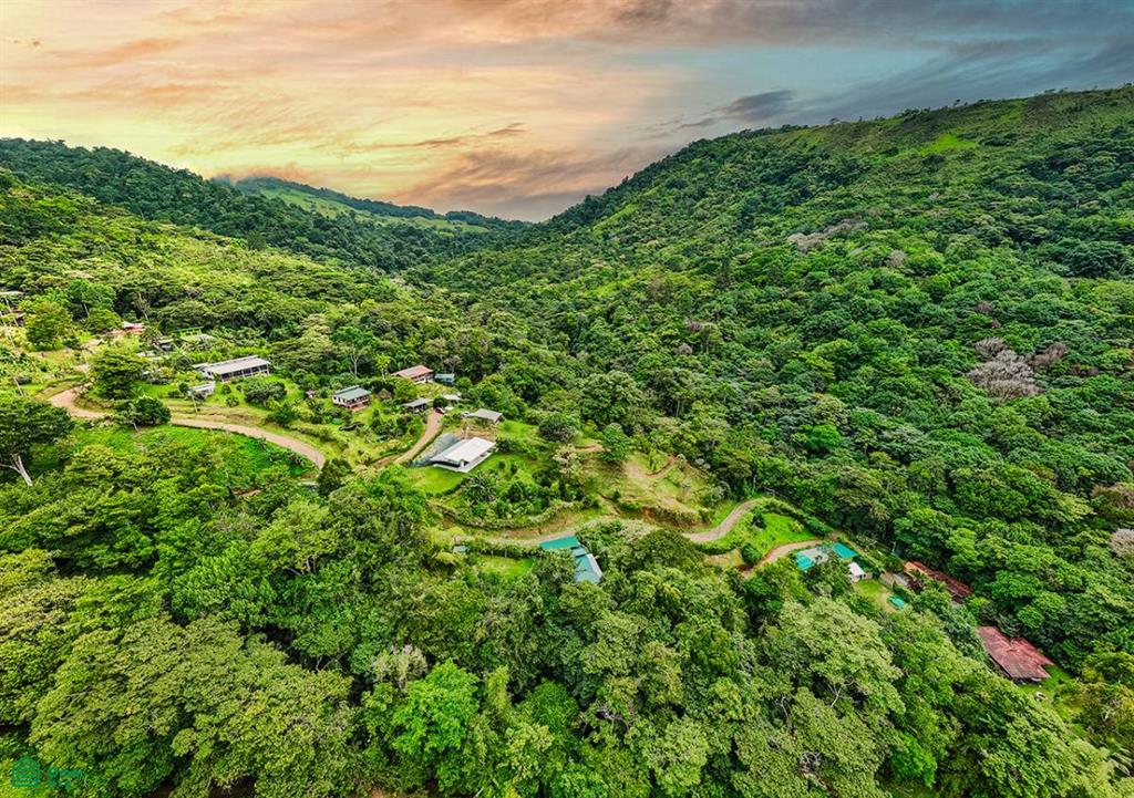 2.6-Acre Property for Sale in Serenity Gardens, Costa Rica – Private River Access, Spring Water & Food Forest