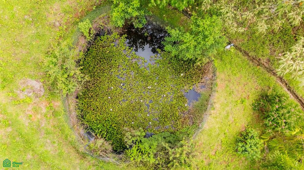 2.6-Acre Property for Sale in Serenity Gardens, Costa Rica – Private River Access, Spring Water & Food Forest