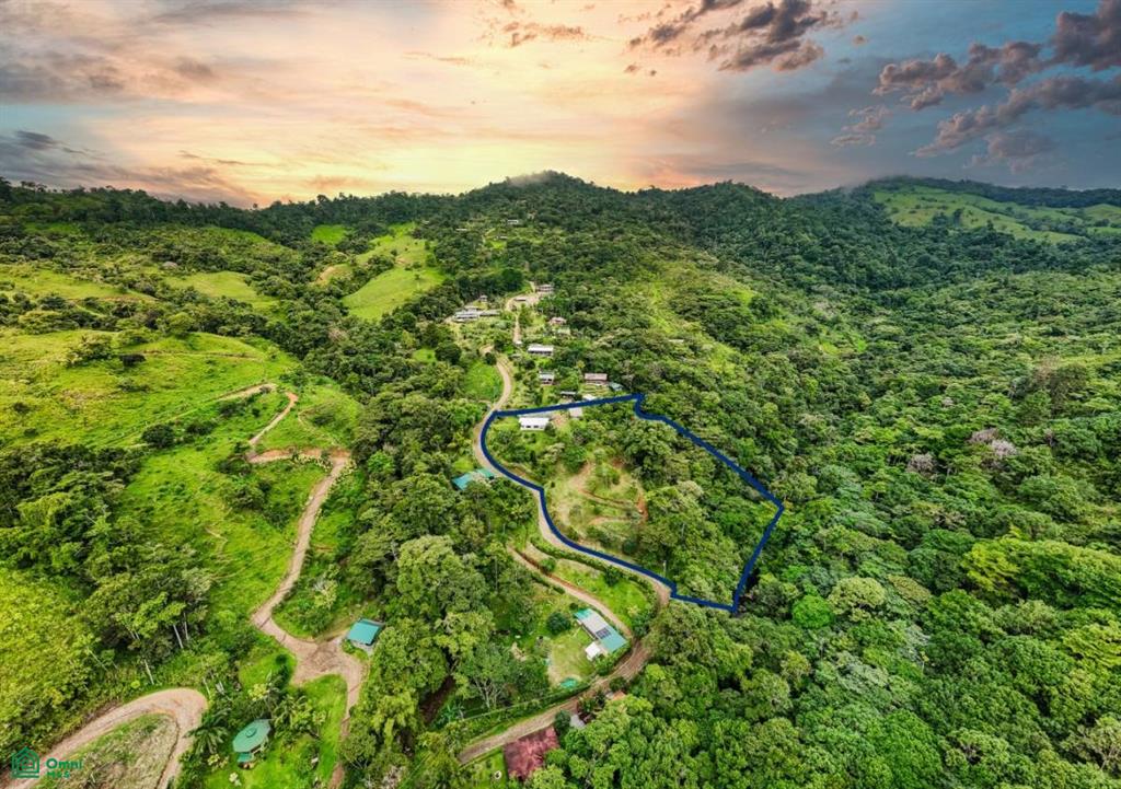 2.6-Acre Property for Sale in Serenity Gardens, Costa Rica – Private River Access, Spring Water & Food Forest