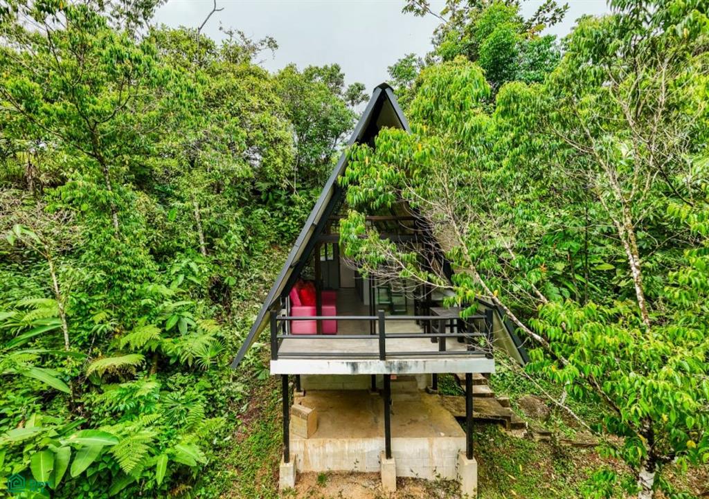 2.6-Acre Property for Sale in Serenity Gardens, Costa Rica – Private River Access, Spring Water & Food Forest