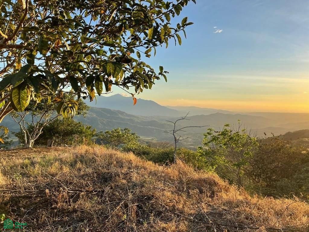 Prime Finca Vista Atenas, 123 Acres 