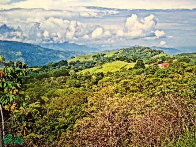 Prime Finca Vista Atenas, 123 Acres 