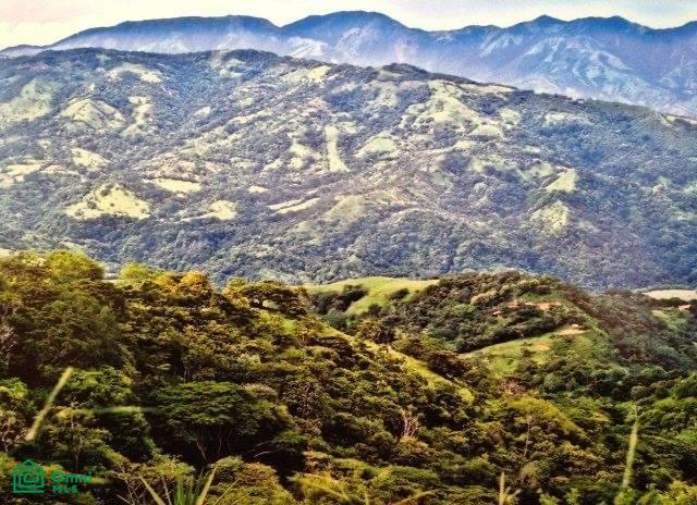 Prime Finca Vista Atenas, 123 Acres 