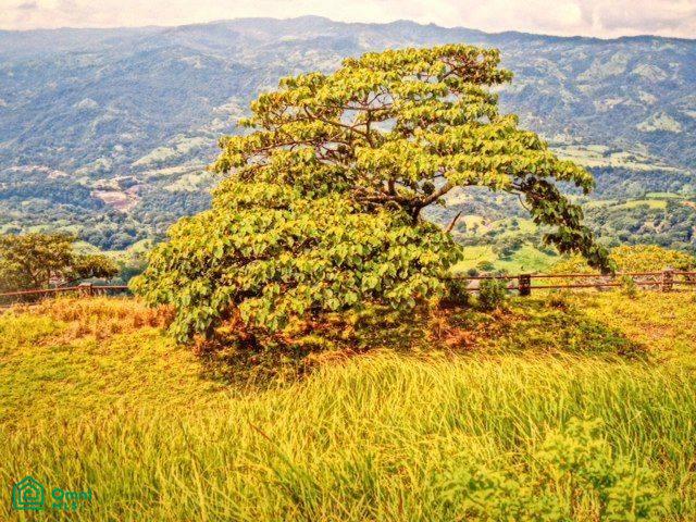 Prime Finca Vista Atenas, 123 Acres 