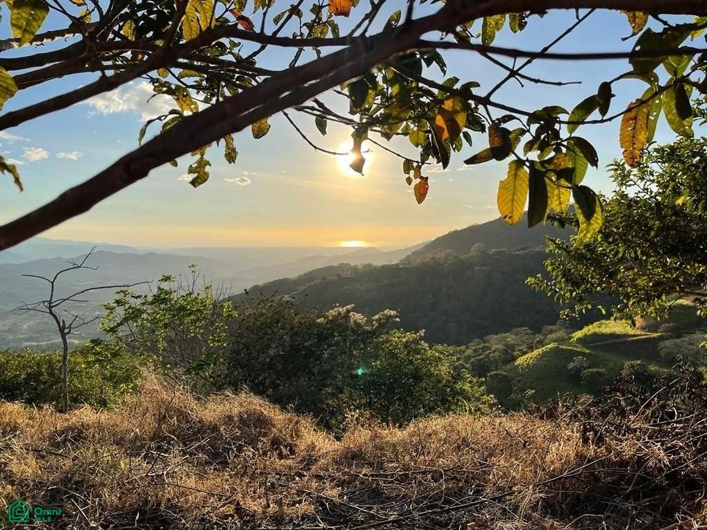 Prime Finca Vista Atenas, 123 Acres 