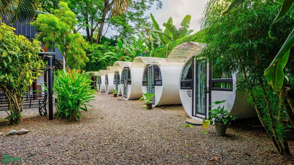 Turnkey Jungle Hostel for Sale in Costa Rica – 16 Beds, Pool & Strong Revenue Near Marino Ballena National Park