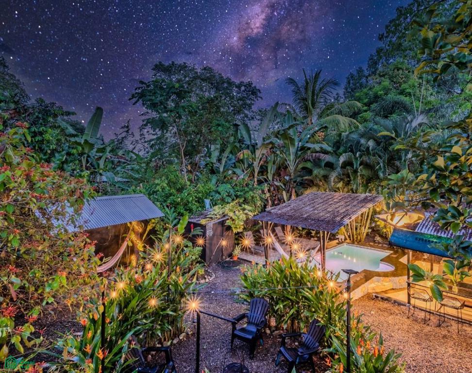 Turnkey Jungle Hostel for Sale in Costa Rica – 16 Beds, Pool & Strong Revenue Near Marino Ballena National Park