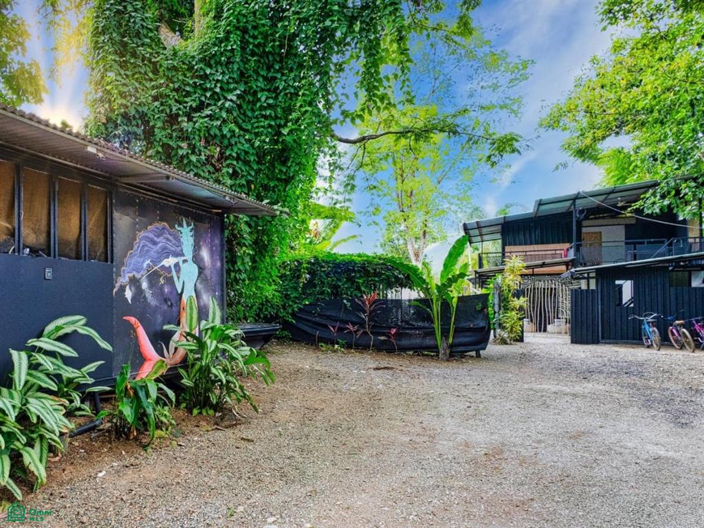 Turnkey Jungle Hostel for Sale in Costa Rica – 16 Beds, Pool & Strong Revenue Near Marino Ballena National Park