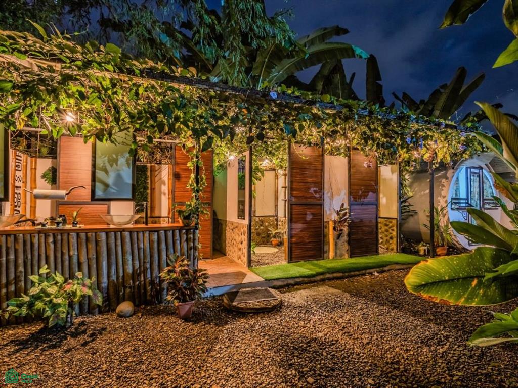 Turnkey Jungle Hostel for Sale in Costa Rica – 16 Beds, Pool & Strong Revenue Near Marino Ballena National Park