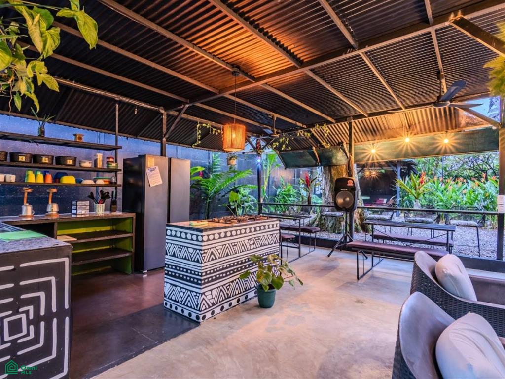 Turnkey Jungle Hostel for Sale in Costa Rica – 16 Beds, Pool & Strong Revenue Near Marino Ballena National Park