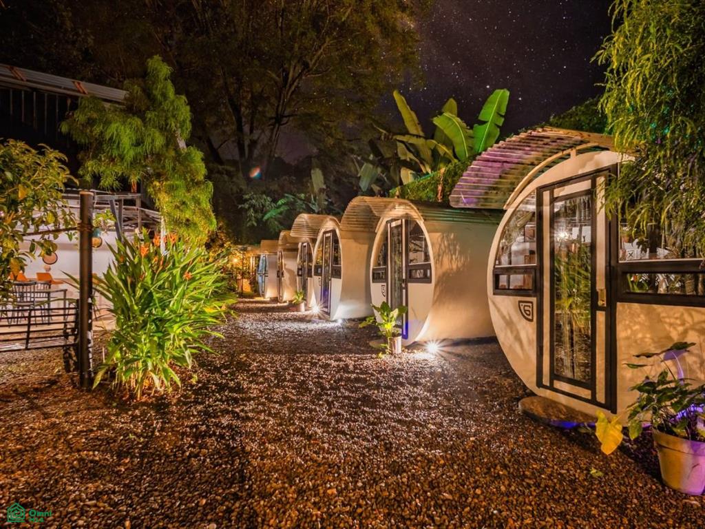 Turnkey Jungle Hostel for Sale in Costa Rica – 16 Beds, Pool & Strong Revenue Near Marino Ballena National Park