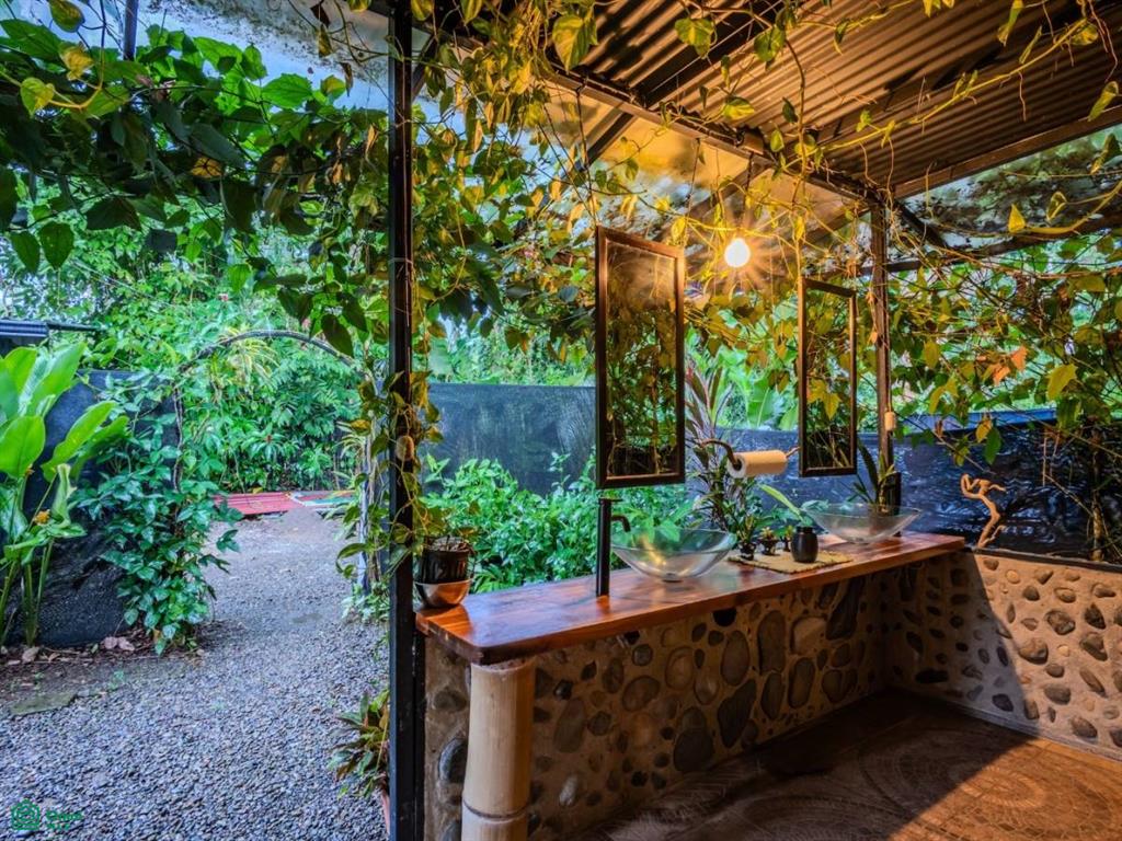 Turnkey Jungle Hostel for Sale in Costa Rica – 16 Beds, Pool & Strong Revenue Near Marino Ballena National Park