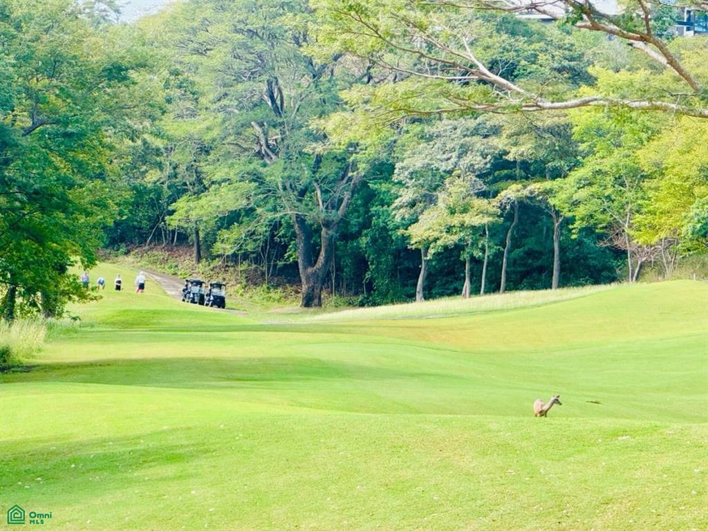 , Cabo Velas, Guanacaste