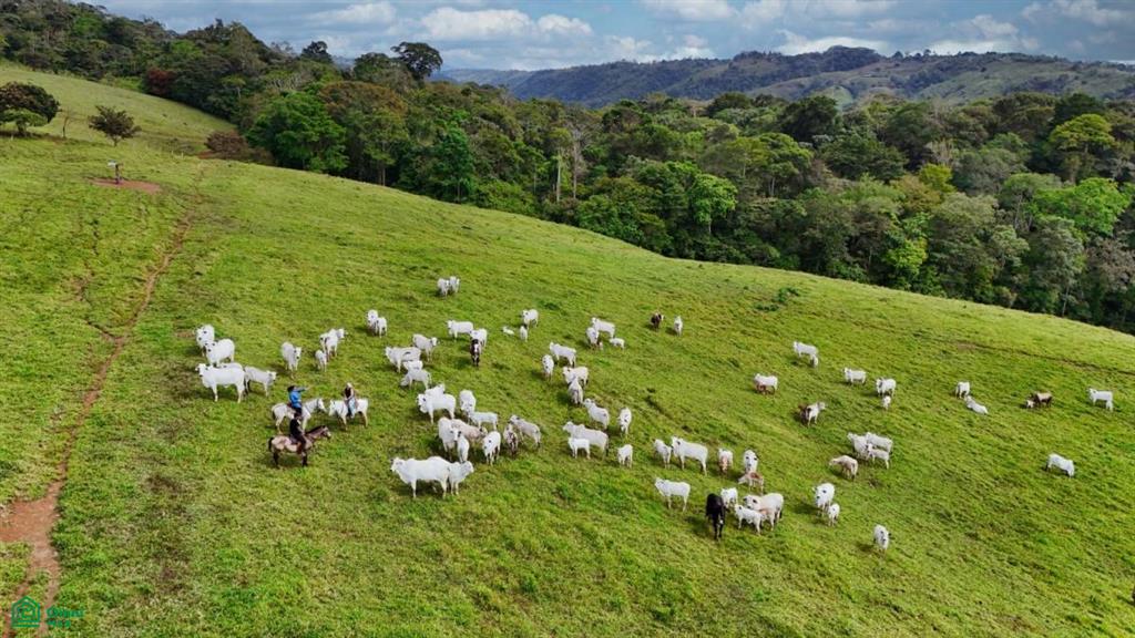 230-Hectare Natural Sanctuary in San Vito – Rivers, Waterfalls & Endless Potential