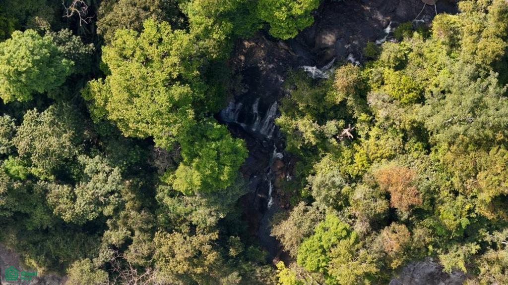 230-Hectare Natural Sanctuary in San Vito – Rivers, Waterfalls & Endless Potential