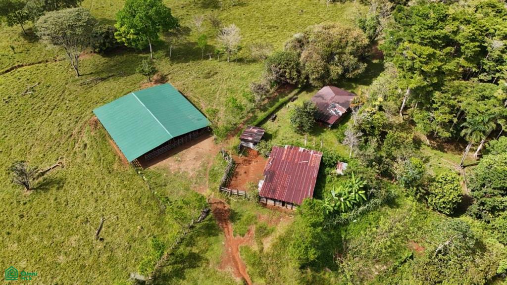 230-Hectare Natural Sanctuary in San Vito – Rivers, Waterfalls & Endless Potential