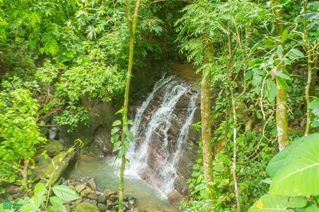 Luxury Estate for Sale in Uvita – Monkey Ranch with Waterfall, Jungle & Ocean Views