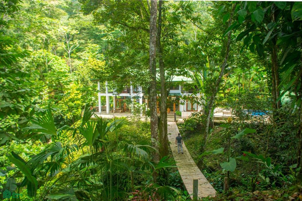 Luxury Estate for Sale in Uvita – Monkey Ranch with Waterfall, Jungle & Ocean Views