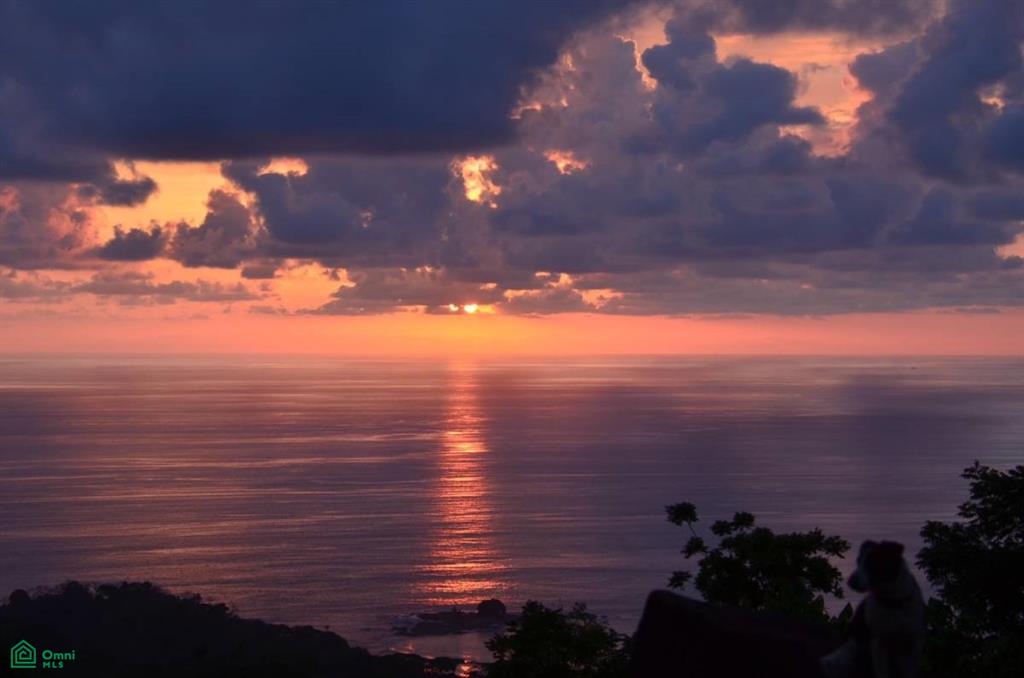 Luxury Estate for Sale in Uvita – Monkey Ranch with Waterfall, Jungle & Ocean Views