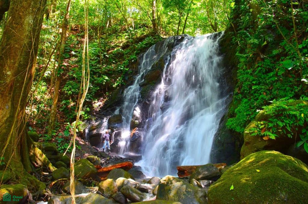 Luxury Estate for Sale in Uvita – Monkey Ranch with Waterfall, Jungle & Ocean Views