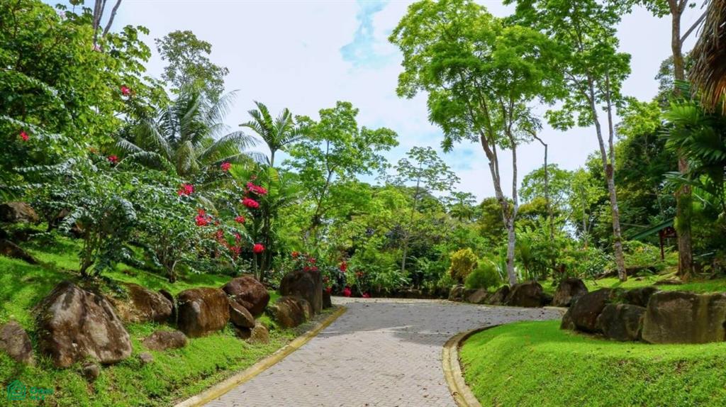 Luxury Estate for Sale in Uvita – Monkey Ranch with Waterfall, Jungle & Ocean Views