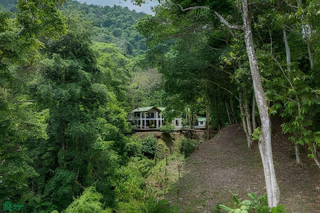Luxury Estate for Sale in Uvita – Monkey Ranch with Waterfall, Jungle & Ocean Views