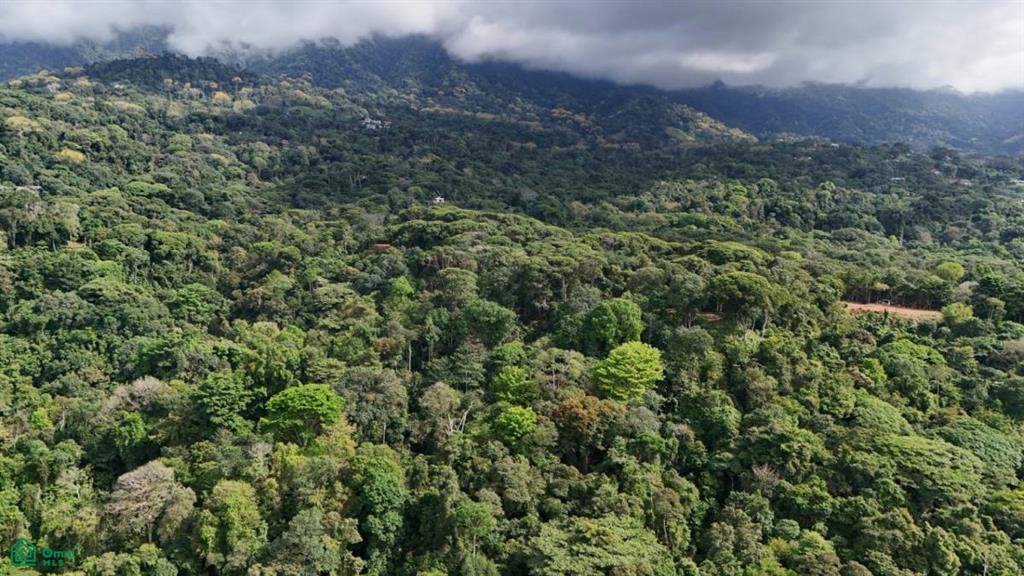 483J+HJH , Bahía Ballena, Osa, Puntarenas