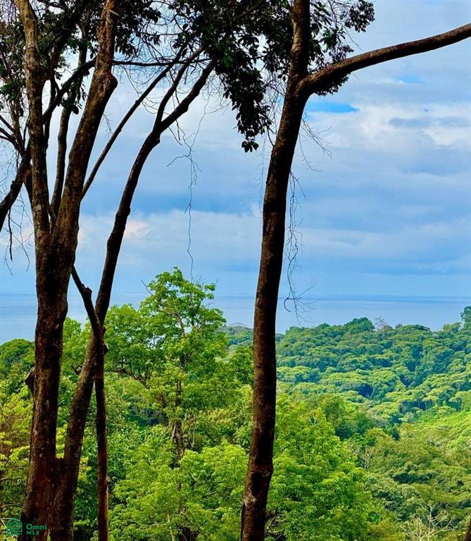 483J+HJH , Bahía Ballena, Osa, Puntarenas