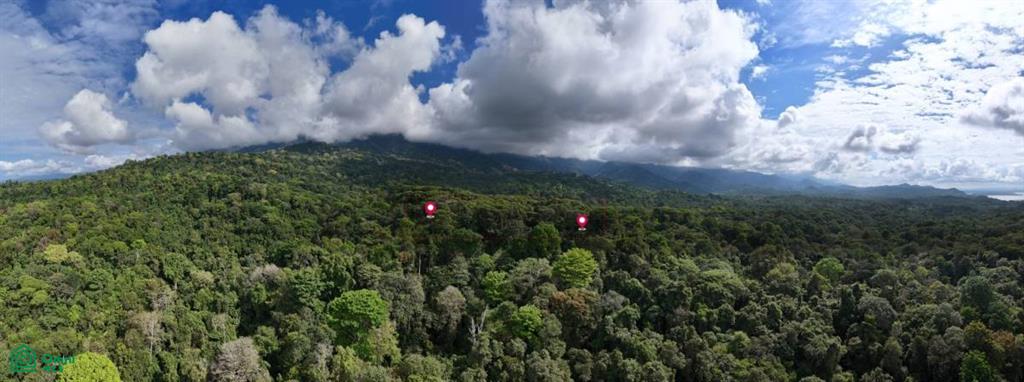 483J+HJH , Bahía Ballena, Osa, Puntarenas