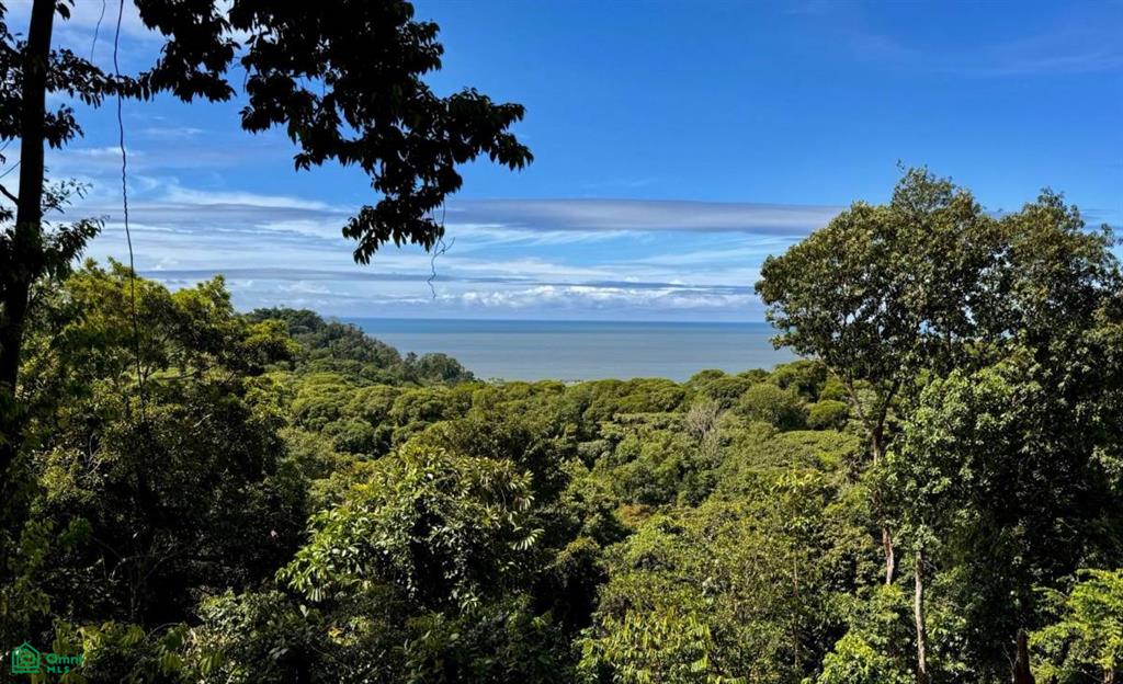 483J+HJH , Bahía Ballena, Osa, Puntarenas