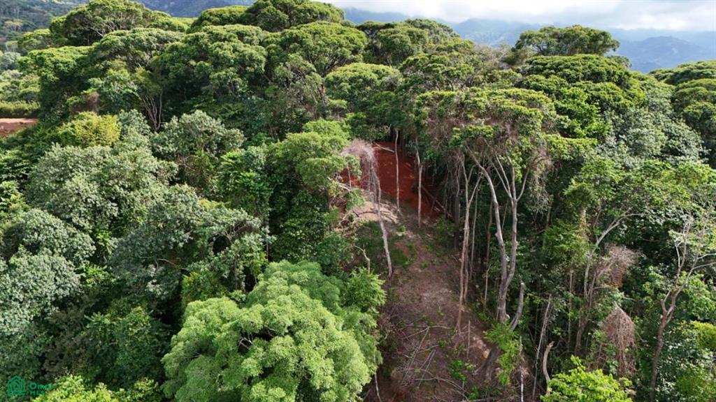 483J+HJH , Bahía Ballena, Osa, Puntarenas