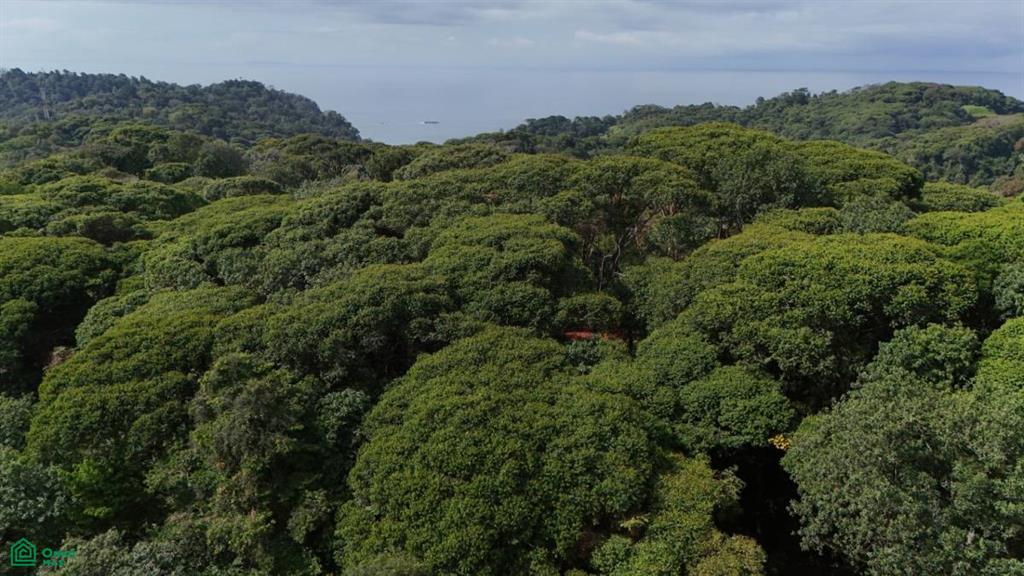 483J+HJH , Bahía Ballena, Osa, Puntarenas