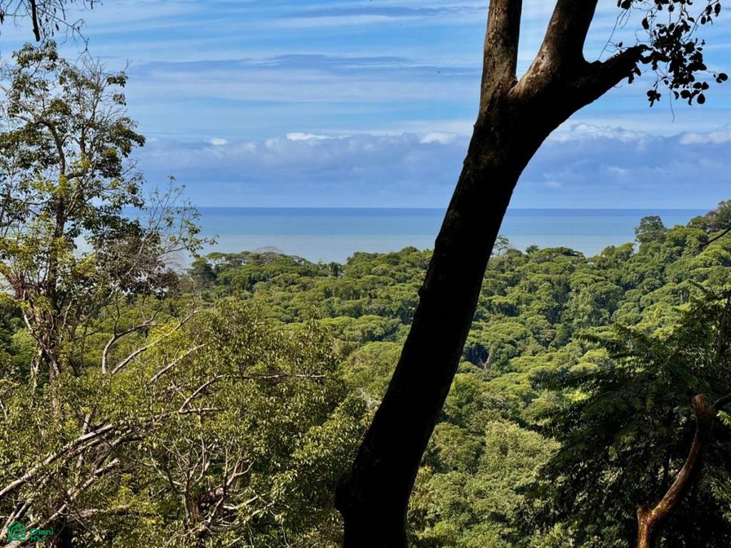 483J+HJH , Bahía Ballena, Osa, Puntarenas