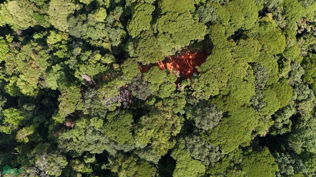 483J+HJH , Bahía Ballena, Osa, Puntarenas