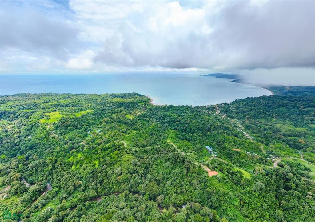 Extraordinary 22-Hectare Ocean View Estate in Drake Bay, Costa Rica – Prime Development Opportunity on the Osa Peninsula