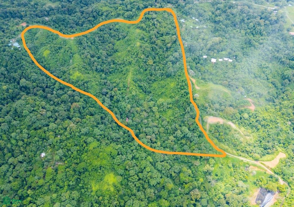 Extraordinary 22-Hectare Ocean View Estate in Drake Bay, Costa Rica – Prime Development Opportunity on the Osa Peninsula