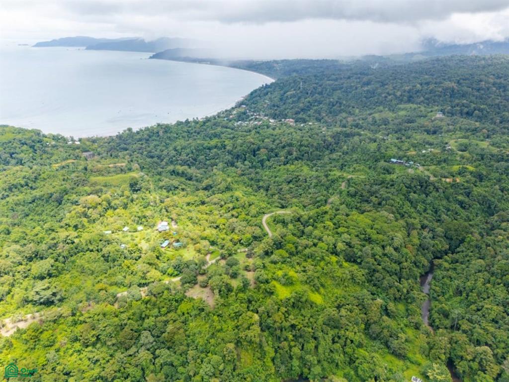 Extraordinary 22-Hectare Ocean View Estate in Drake Bay, Costa Rica – Prime Development Opportunity on the Osa Peninsula