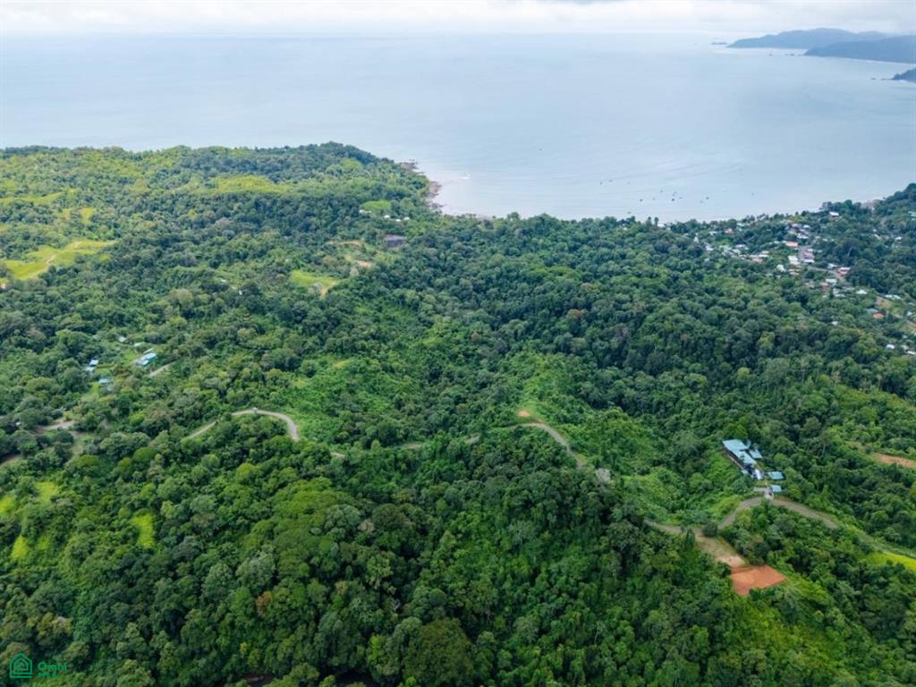 Extraordinary 22-Hectare Ocean View Estate in Drake Bay, Costa Rica – Prime Development Opportunity on the Osa Peninsula