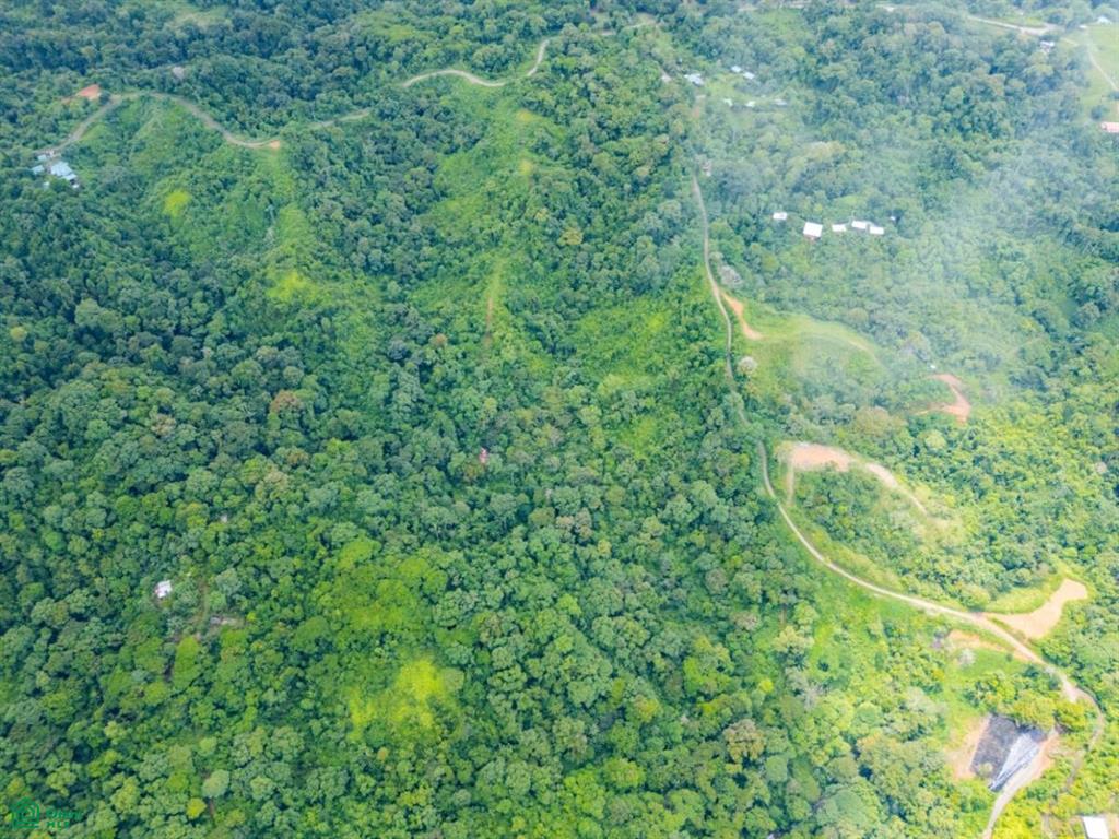 Extraordinary 22-Hectare Ocean View Estate in Drake Bay, Costa Rica – Prime Development Opportunity on the Osa Peninsula