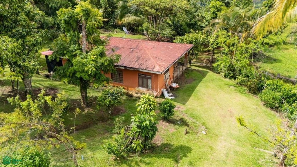 56-Acre Sustainable Farm for Sale in Limoncito, Coto Brus, Costa Rica – Abundant Water & Income Potential