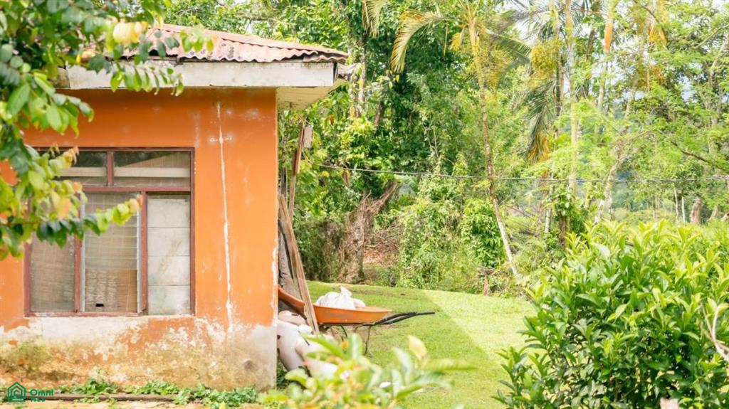 56-Acre Sustainable Farm for Sale in Limoncito, Coto Brus, Costa Rica – Abundant Water & Income Potential