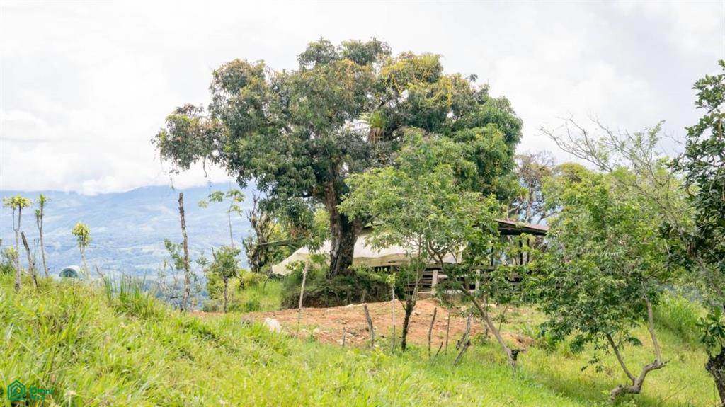 56-Acre Sustainable Farm for Sale in Limoncito, Coto Brus, Costa Rica – Abundant Water & Income Potential