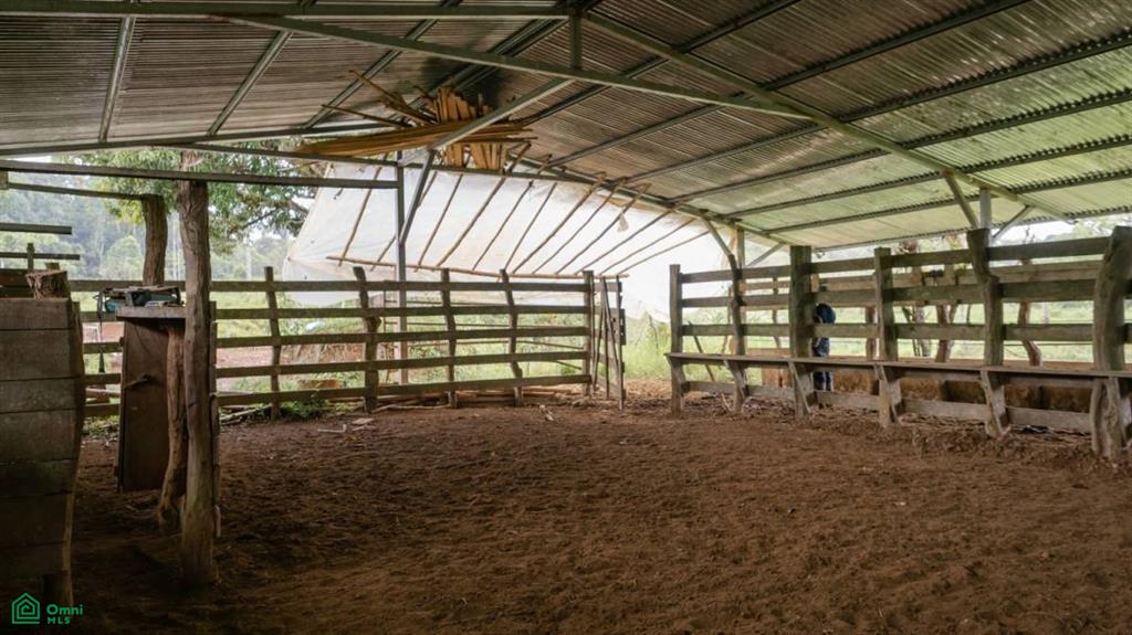 56-Acre Sustainable Farm for Sale in Limoncito, Coto Brus, Costa Rica – Abundant Water & Income Potential